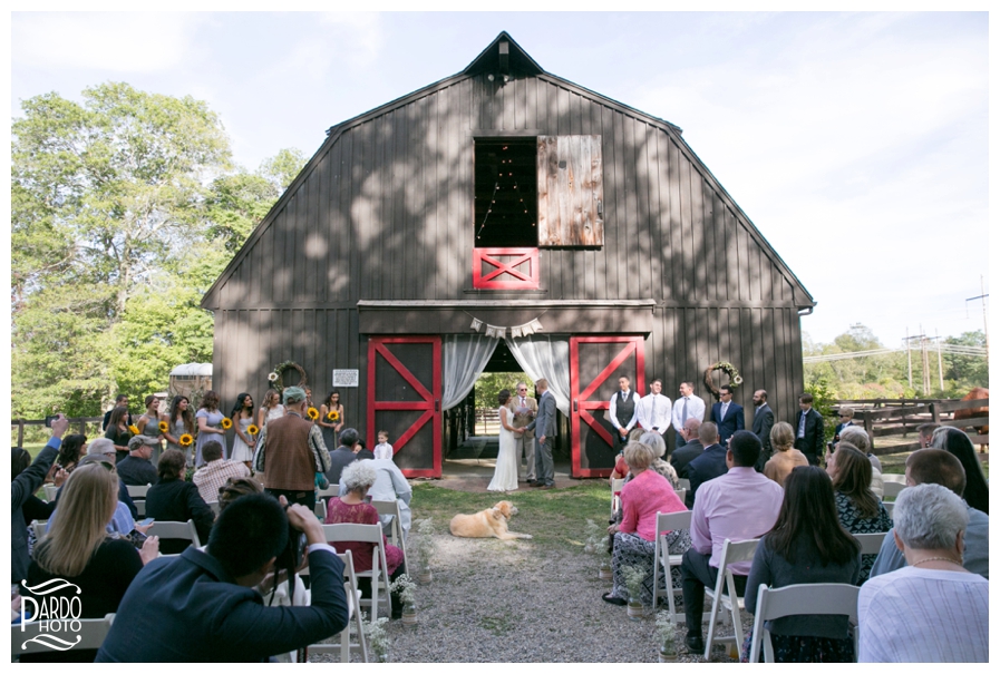Pardo-Photo-Massachusetts-Wedding-Photographer-Best-of-2015_0032