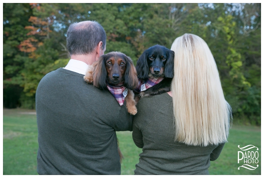 dog portrait advice pardo photo