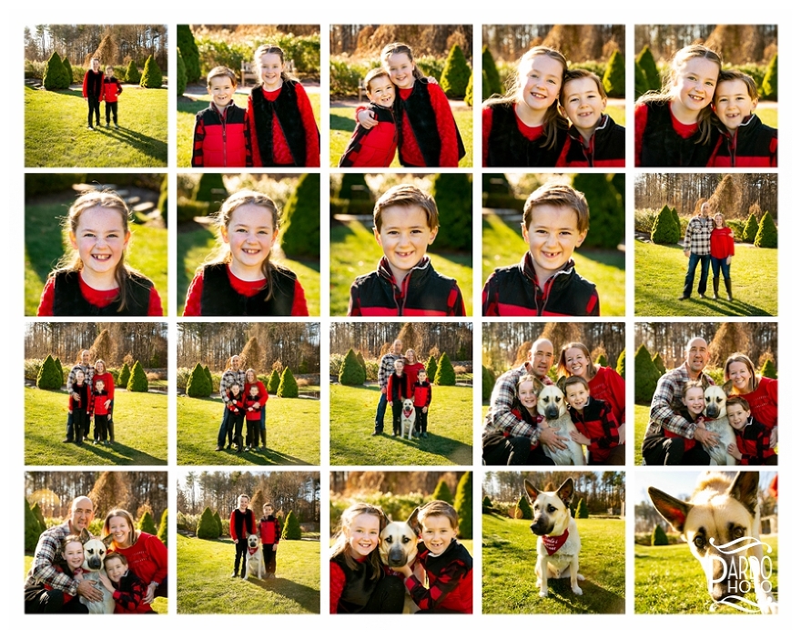 10 Minute Family Photo Sessions Pardo Photo