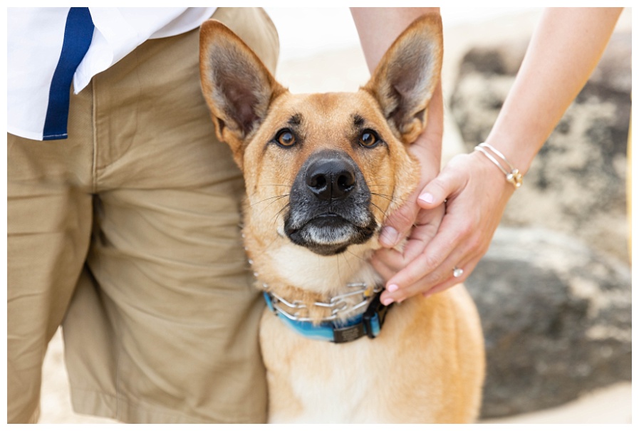 The Knob engagement pardo photo